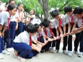 Hướng dẫn xây dựng và thực hiện kế hoạch giáo dục của nhà trường